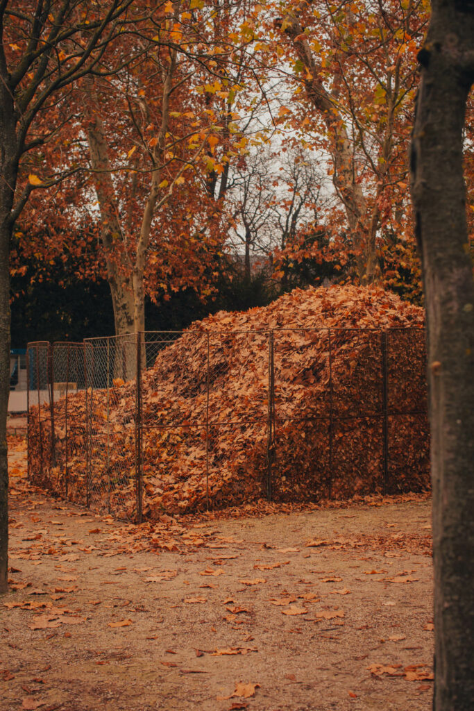 Jardin du Luxembourg in November