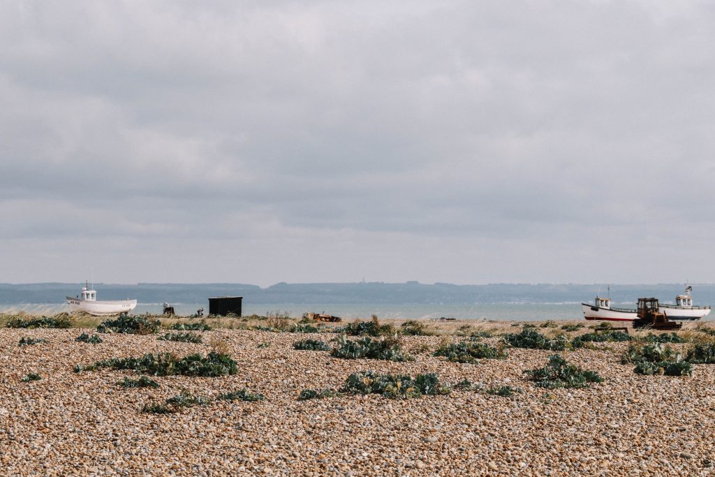 dungeness