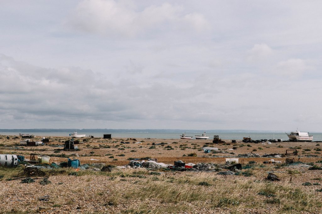 dungeness