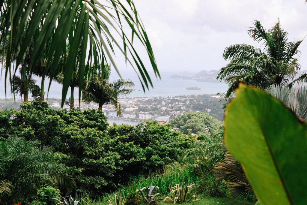 Unique things to do in St Lucia