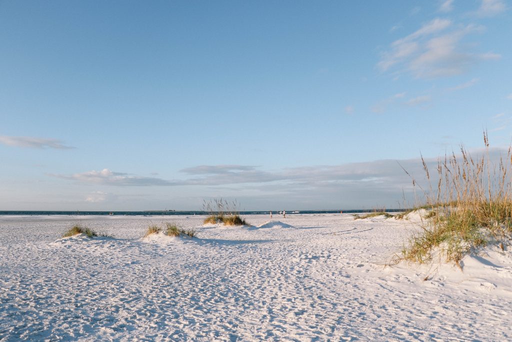 things to do in Anna Maria Island