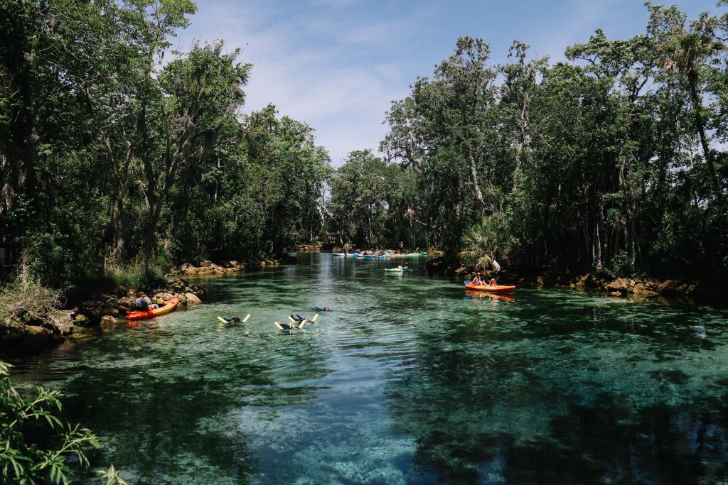 Three Sisters Springs, Crystal River, Florida. Where you can swim with manatees.