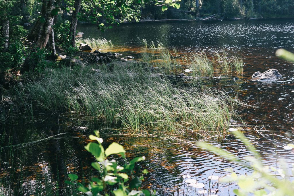 A large lake found in Finland's Helvetinjärvi National Park.