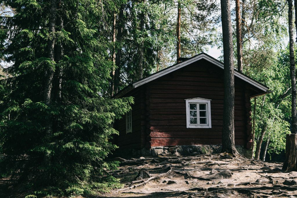 A log cabin in Helvetinjärvi National Park, surrounded by tall fir trees.