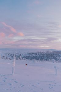Inghams Lapland