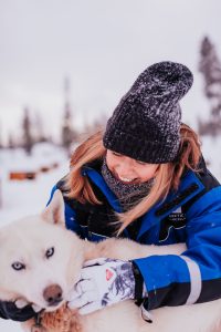 huskies star arctic hotel