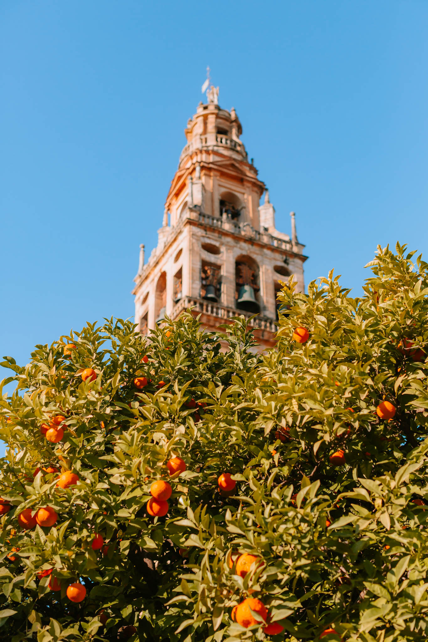 13 Best Things to do in Córdoba, Spain