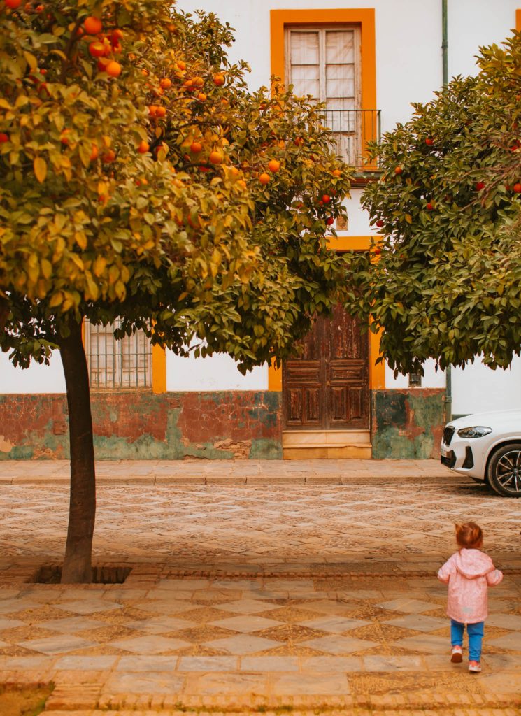 things to do in seville with a toddler