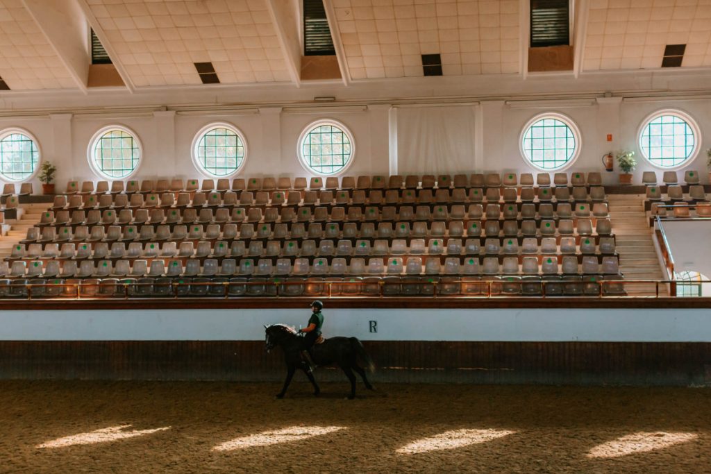 royal andalusian school of equestrian art