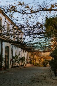 bodegas jerez de la frontera