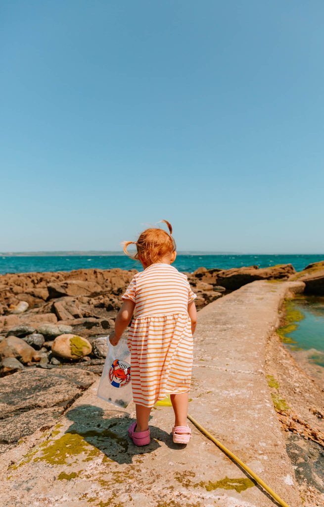 rockpools mousehole