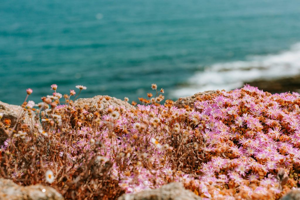 st michaels mount