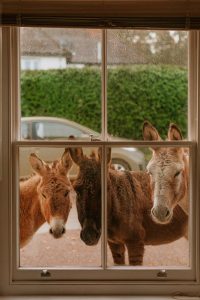 best uk holidays for families