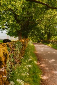 best luxury accommodation in the Yorkshire Dales