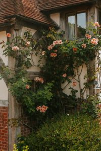 the cottage honeybridge estate