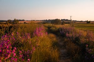 Best UK weekend family breaks