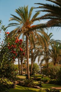 packing list for lanzarote in october