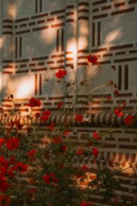 Visiting Transylvania in the autumn - everything you need to know