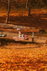 7 day Transylvania road trip
