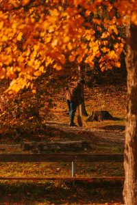 Visiting Transylvania in autumn