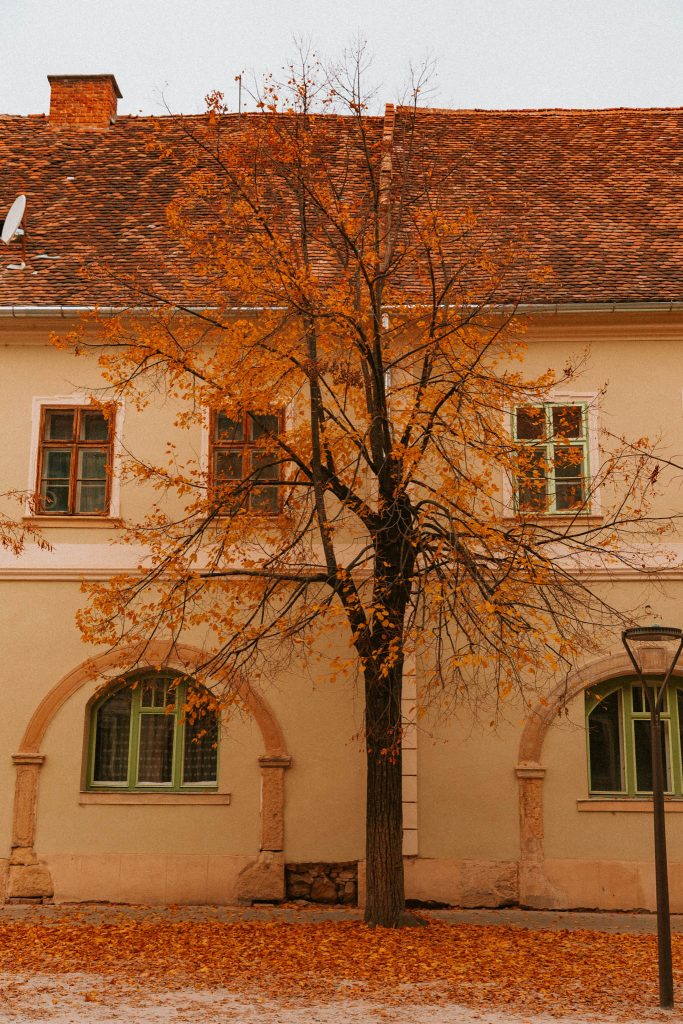 Cluj Napoca