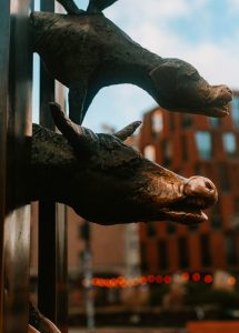 things to do in riga in winter