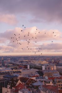 best christmas market in europe