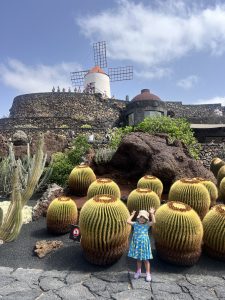 cactus gardens lanzarote