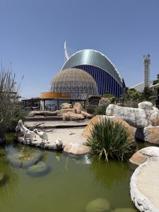 oceangrafic valencia