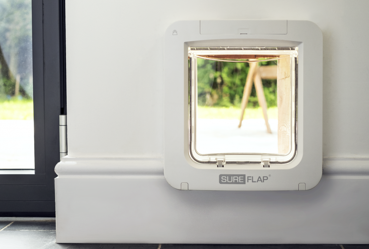 Microchip_Pet_Door_Connect_Wall_Install_1 Twin Perspectives