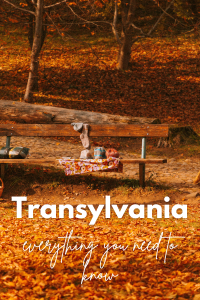 Is Transylvania real? Everything you need to know before visiting