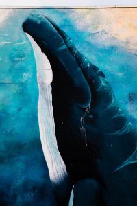 visiting tromso in summer