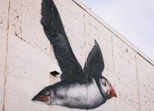 things to do in tromso in summer