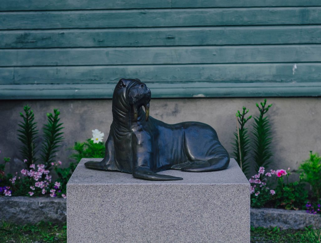summer in tromso