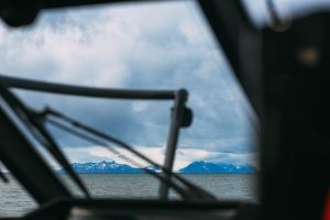 boat trips svalbard