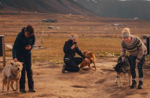 is svalbard worth visiting in summer