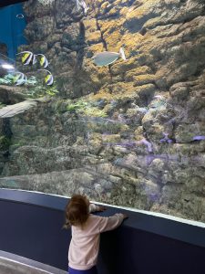 seville aquarium