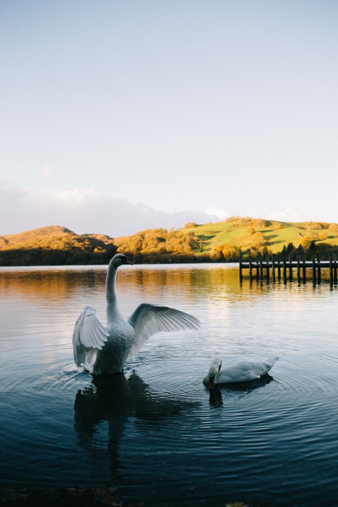 Road trip to the Lake District