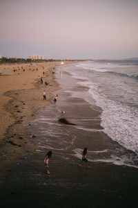 things to do in venice beach