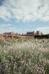A day trip to Hampton Court Palace